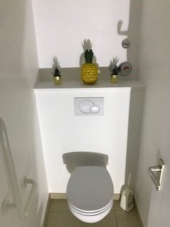 PUITS-8 CACTUS